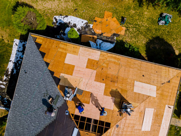 Best Roof Maintenance Services  in Bent Creek, NC